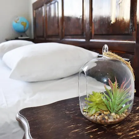 Apartment Classic In The Heart Of The Center Sofia